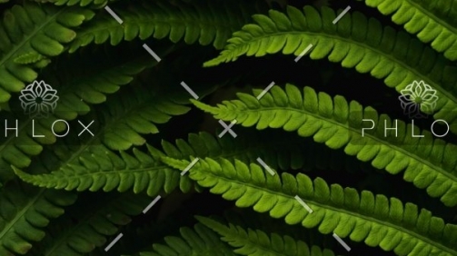 demo-attachment-560-daniel-mirlea-fxiAxNLpoqI-unsplash@2x